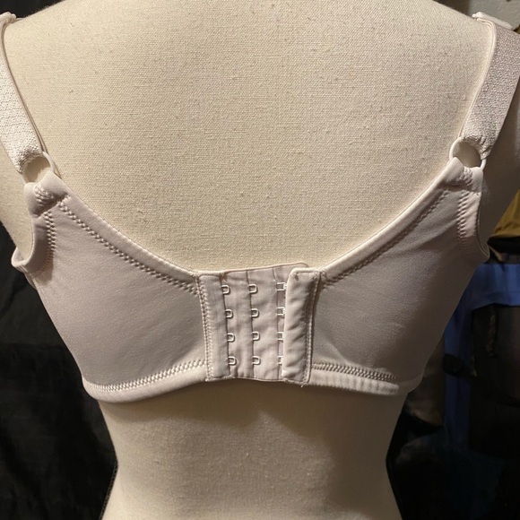 Vanity Fair 40DD - Picture 3 of 3